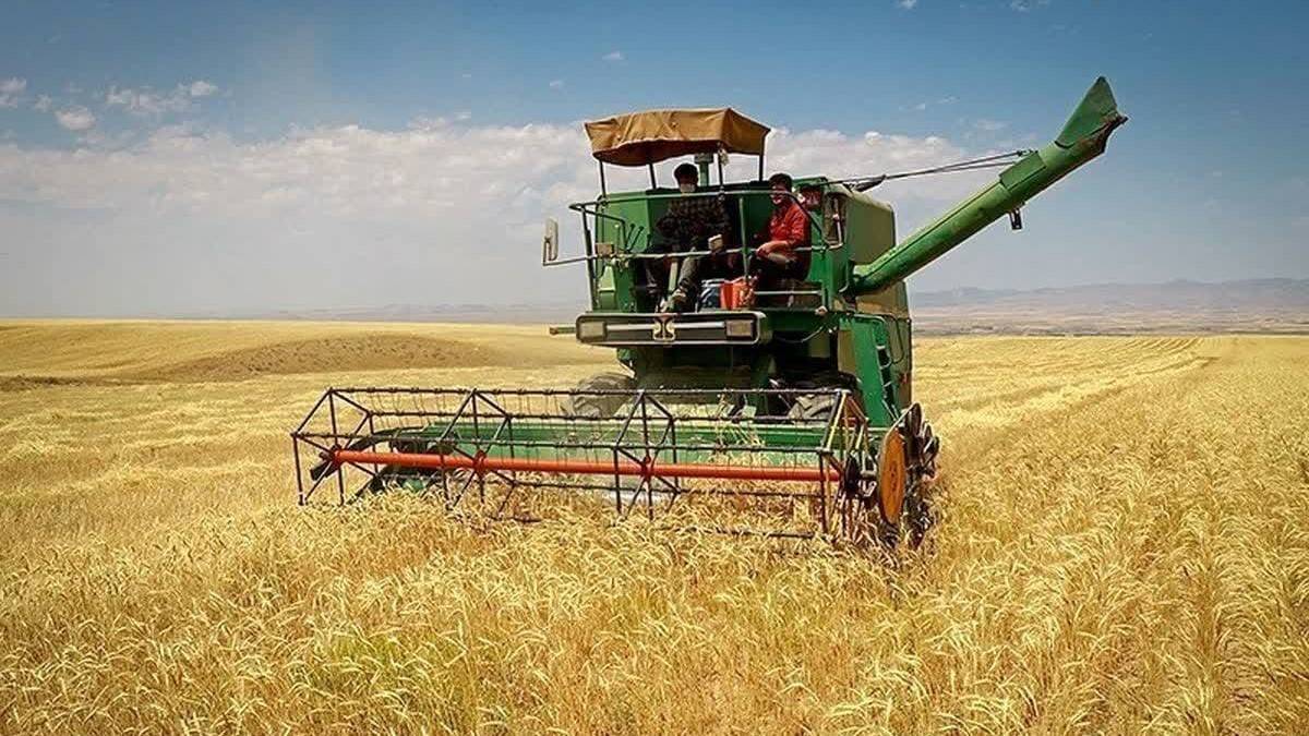 نوری قزلجه: نرخ خرید تضمینی گندم به زودی اعلام میشود نوری قزلجه: نرخ خرید تضمینی گندم به زودی اعلام میشود